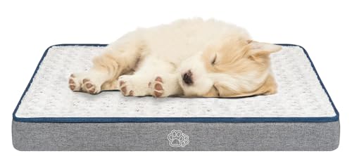 EMPSIGN Hundekissen kleine Hunde waschbar, Hundebett Wasserdicht S 60x45x7,5cm, Hundematte Abnehmbar Bezug für Hundekäfig, stützendes Schaumstoff-Haustierbett für Katzen & kleine Hunde EMPSIGN Hundekissen kleine Hunde waschbar, Hundebett Wasserdicht S 60x45x7,5cm, Hundematte Abnehmbar Bezug für Hundekäfig, stützendes Schaumstoff-Haustierbett für Katzen & kleine Hunde von EMPSIGN
