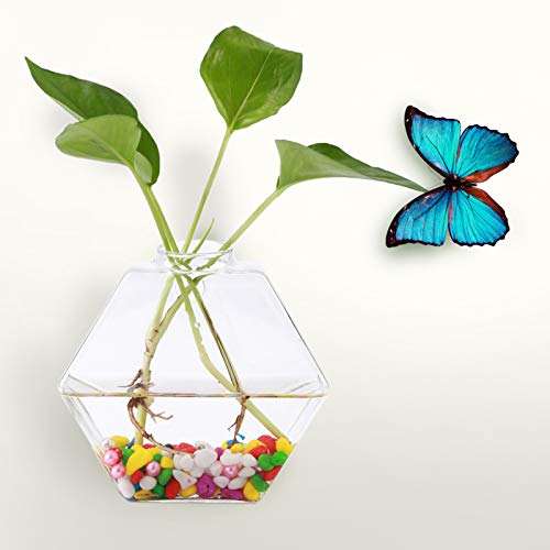 EMUKOEP Hängepflanzen, Blumen, Glasvase, Wand-Hydrokultur-Aquarium-Behälter, Heimdekoration (Hexagon) von EMUKOEP
