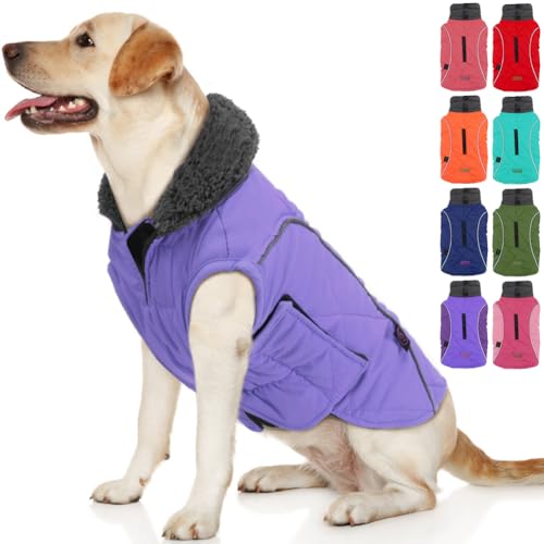 EMUST Dog Coats Winter, Thick Dog Clothes for Medium Dogs Boy, Coats for Dogs Winter with Harness Hole, Dog Coats for Cold Weather, Purple, M von EMUST