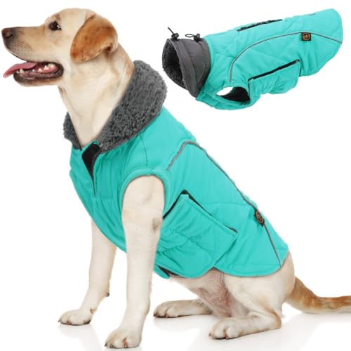 EMUST Dog Winter Coats, Windproof Dog Jackets for Cold Weather with Lofty Collar, Reflective Puppy Clothes for Small Dog Clothes for Dogs, Turquoise, S von EMUST