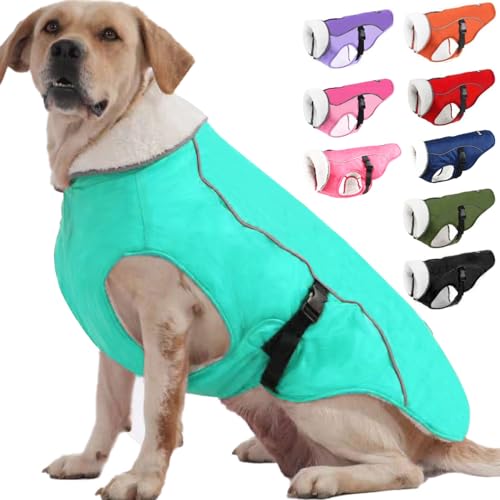 EMUST Hundewintermantel, dicke winddichte Winter-Hundejacke, Haustier-Hundewintermantel für kleine/mittel/große Hunde, Türkis, XXL von EMUST