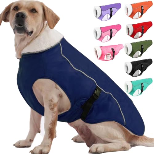 EMUST Hundemantel, Winddichte Hundebekleidung für kaltes Wetter, Reflektierende Wintermäntel für Hunde, Warme Welpenjacke für Kalten Winter, Blau S von EMUST