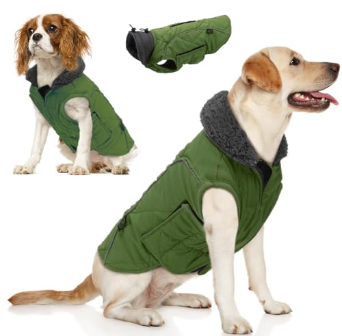 EMUST Winter Hundemantel, Fleece Hundebekleidung für kaltes Wetter, Britischer Stil Winddichte warme Hundejacke für Kleine Hunde Hundemäntel für den Winter, NeuGrün, XS EMUST Winter Hundemantel, Fleece Hundebekleidung für kaltes Wetter, Britischer Stil Winddichte warme Hundejacke für Kleine Hunde Hundemäntel für den Winter, NeuGrün, XS von EMUST