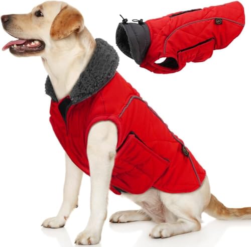EMUST Winter Hundemantel, Fleece Hundebekleidung für kaltes Wetter, Britischer Stil Winddichte warme Hundejacke für Kleine Hunde Hundemäntel für den Winter, NeuRot, XS EMUST Winter Hundemantel, Fleece Hundebekleidung für kaltes Wetter, Britischer Stil Winddichte warme Hundejacke für Kleine Hunde Hundemäntel für den Winter, NeuRot, XS von EMUST
