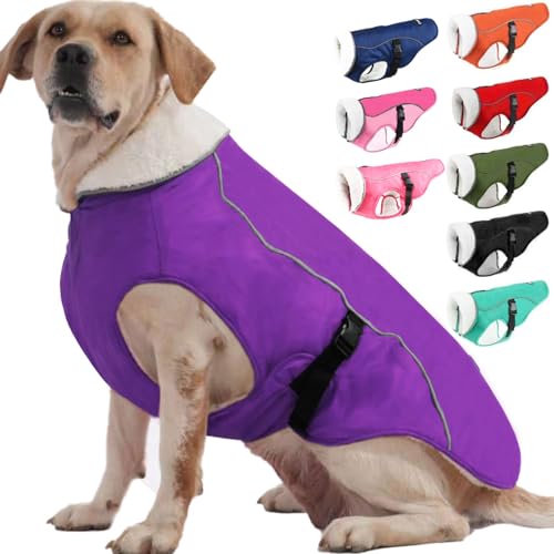 EMUST Winterhundemantel, wasserdicht, verstellbarer Hundemantel, für kleine/mittlere bis große Hunde, für den Winter, Lila, L EMUST Winterhundemantel, wasserdicht, verstellbarer Hundemantel, für kleine/mittlere bis große Hunde, für den Winter, Lila, L von EMUST