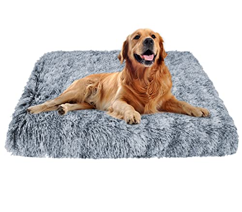 EN AyuL Großes, orthopädisches Hundebett, mittelgroß, Plüsch, beruhigende Hundeboxen-Matratze, Flauschiges Katzen-Schlafkissen, Matte für kleine, mittelgroße und große Hunde, Katzen EN AyuL Großes, orthopädisches Hundebett, mittelgroß, Plüsch, beruhigende Hundeboxen-Matratze, Flauschiges Katzen-Schlafkissen, Matte für kleine, mittelgroße und große Hunde, Katzen von EN AyuL