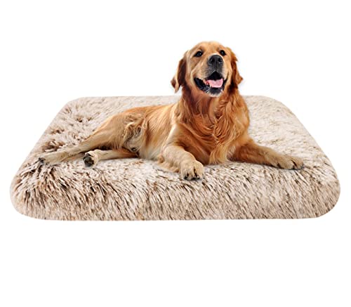 EN AyuL Großes, orthopädisches Hundebett, mittelgroß, Plüsch, beruhigende Hundeboxen-Matratze, flauschiges Katzen-Schlafkissen, Matte für kleine, mittelgroße und große Hunde, Katzen (Größe S, Braun) EN AyuL Großes, orthopädisches Hundebett, mittelgroß, Plüsch, beruhigende Hundeboxen-Matratze, flauschiges Katzen-Schlafkissen, Matte für kleine, mittelgroße und große Hunde, Katzen (Größe S, Braun) von EN AyuL