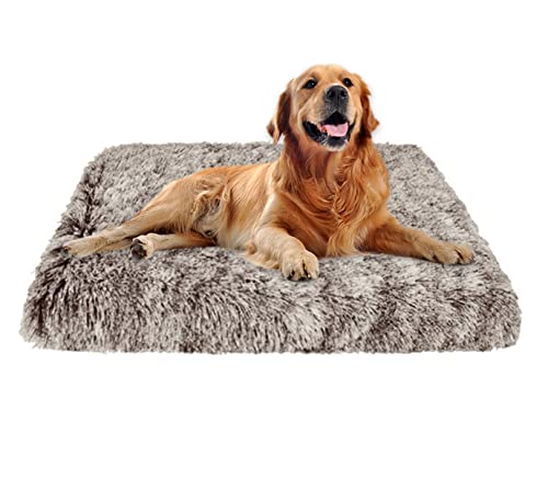 EN AyuL Großes, orthopädisches Hundebett, mittelgroß, Plüsch, beruhigende Hundeboxen-Matratze, flauschiges Katzen-Schlafkissen, Matte für kleine, mittelgroße und große Hunde, Katzen (M, Kaffee) EN AyuL Großes, orthopädisches Hundebett, mittelgroß, Plüsch, beruhigende Hundeboxen-Matratze, flauschiges Katzen-Schlafkissen, Matte für kleine, mittelgroße und große Hunde, Katzen (M, Kaffee) von EN AyuL