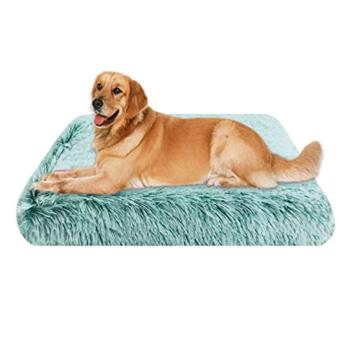 EN AyuL Hundebett-Matratze, groß, orthopädisch, Eierkiste, Schaumstoff, beruhigendes Hundebett, weiches, flauschiges Katzen-Schlafkissen, abnehmbar, waschbar (100 x 60 x 7 cm, grün) von EN AyuL