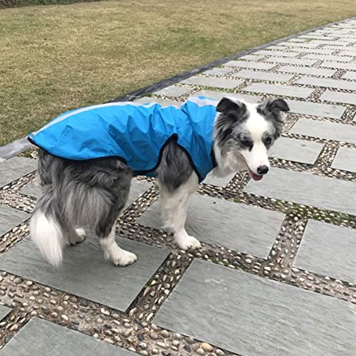 ENDBAG hundejacke Hochwertiger, modischer Hunde-Regenmantel, Regen-/wasserdicht, Verstellbarer Kordelzug, Kapuze, kleine bis mittelgroße Hundekleidung – Rot(Color:2,Size:XL) von ENDBAG