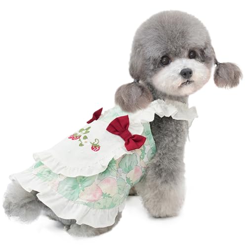Hundekleidung für Klein Hund,Katzenkleid,Hundekleid Prinzessin Kleid für Chihuahua Pudel Yorkshire Grün S von ENGEL WEMANG