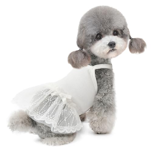 Hundekleidung für Klein Hund,Katzenkleid,Hundekleid Prinzessin Kleid für Chihuahua Pudel Yorkshire weiß XL von ENGEL WEMANG