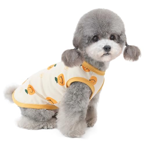 Hundekleidung für Klein Hund,Katzenkleid,Weste für Chihuahua Pudel Yorkshire Orange klein M von ENGEL WEMANG