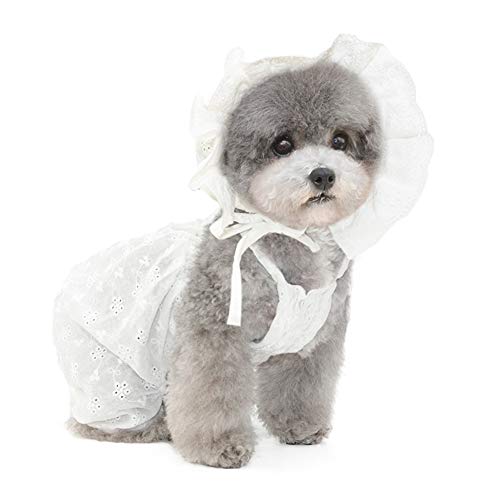 Hundekleidung für Klein Hund,Strandkleid,Katzenkleid,Hundekleid Prinzessin Kleid für Chihuahua Pudel Yorkshire mit Sonnenhut(Weiß M) von ENGEL WEMANG