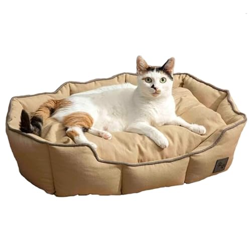 ENGLISH HOME Katzenbett, Katzenbetten für Innenkatzen, Abnehmbarer Bezug, maschinenwaschbares Hundebett, gefülltes Kissen, Haustierbett für Hunde und Katzen 40x60x17 cm, Beige von ENGLISH HOME