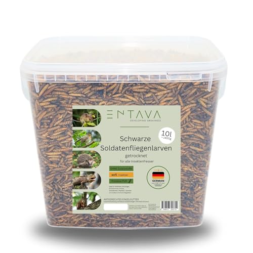 ENTAVA 10l Soldatenfliegenlarven getrocknet in Premium-Qualität, Vogelfutter, Koifutter, Igelfutter, Eichhörnchenfutter, ganzjähriges Futter für Wildvögel (10 Liter (1400g)) (10l) von ENTAVA