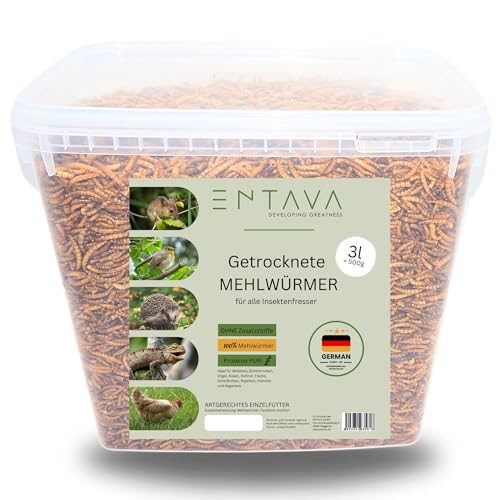 ENTAVA getrocknete Mehlwürmer 3l =500g Premium Qualität direkt vom Hersteller! Premium Insektensnack Vögel, Fische, Koi, Schildkröten, Nager, Reptilien, Vogelfutter, Wildvögel, Igelfutter von ENTAVA