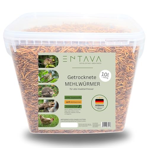 ENTAVA getrocknete Mehlwürmer 10l=1650g - im Eimer mit Dosierschaufel - Insektensnack Vögel, Fische, Koi, Schildkröten, Nager, Reptilien, Vogelfutter, Wildvögel, Igelfutter von ENTAVA