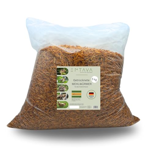 ENTAVA getrocknete Mehlwürmer- 5kg direkt vom Hersteller! Premium Insektensnack Vögel, Fische, Schildkröten, Nager, Reptilien, Vogelfutter, Wildvögel, Igelfutter von ENTAVA