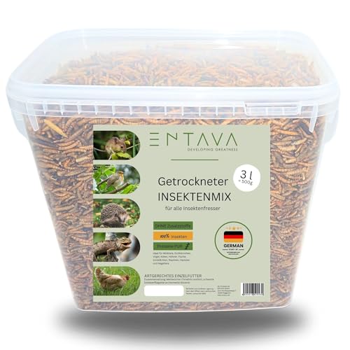 ENTAVA 3l nachhaltiger Insektenmix getrocknet in Premium-Qualität, Vogelfutter, Koifutter, Igelfutter, Eichhörnchenfutter, ganzjähriges Futter für Wildvögel von ENTAVA