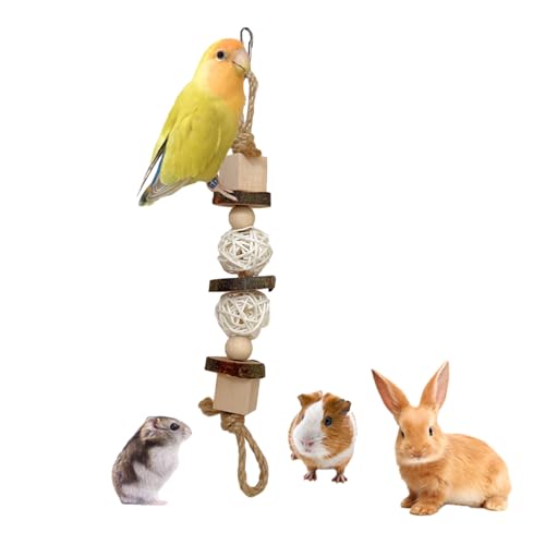 Interaktives Vogel Backenzahnspielzeug Fördert Die Schnabelpflege Und Bietet Lustiges Spielzeug Zum Aufhängen Für Vogelschnäbel Innenbereich Schleifen Von Papageien Spielzeug Zum Aufhängen Von von EOIKTIY