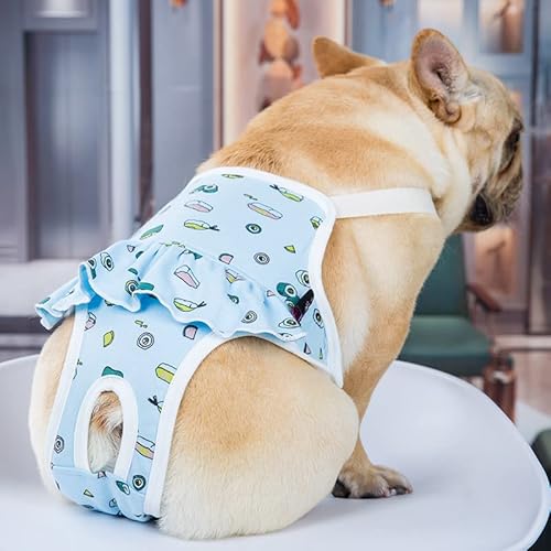 EONANT Baumwoll-Hygiene-Höschen für Hunde, Wiederverwendbare Haustier-Hygiene-Höschen mit verstellbaren Trägern, Haustier-physiologische Hosenwindeln, Welpen, französische Bulldogge, Pudel (Blau, M) EONANT Baumwoll-Hygiene-Höschen für Hunde, Wiederverwendbare Haustier-Hygiene-Höschen mit verstellbaren Trägern, Haustier-physiologische Hosenwindeln, Welpen, französische Bulldogge, Pudel (Blau, M) von EONANT