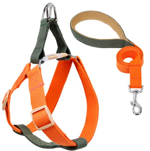 Hundegeschirr mit Leine, Verstellbare Heavy Duty No Pull Halfter Harness Har mit starkem Griff für kleine Welpen/Hunde (Grün Orange, L) von EONYUANGUO