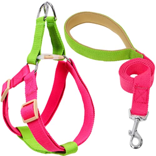 Hundegeschirr mit Leine, Verstellbare Heavy Duty No Pull Halfter Harness Har mit starkem Griff für kleine Welpen/Hunde (Grüne Rose Rot, L) von EONYUANGUO