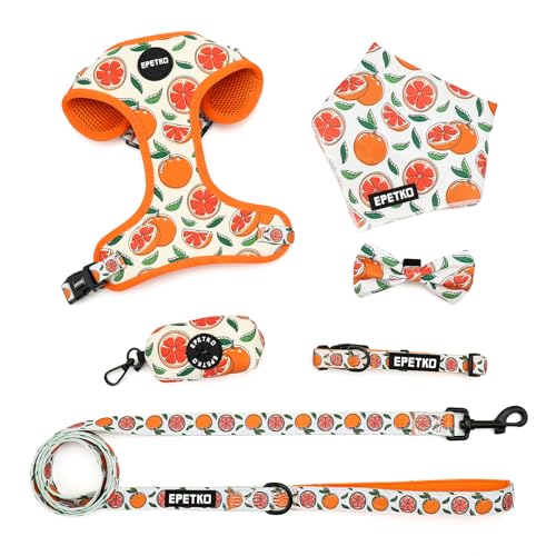 Welpengeschirr mit Leine Set, Weiches Leichtes Mesh Hundegeschirr Kleine Hunde mit Leine, Verstellbares Niedliches Blumenmuster Welpengeschirr Kleine Hunde, Geeignet für Kleine und Mittelgroße Hunde von EPETKO