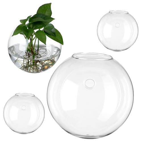 EPIGEIST 4 Stück Wandvase aus Klarem Glas Rund für Innenbereiche Hängende Vermehrungsstation und Terrarium Pflanzenhalter Platzsparende Wanddekoration für Blumen und Sukkulenten von EPIGEIST