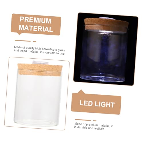 EPIGEIST Rundes Borosilikatglas DIY Mikrolandschaft Flasche mit LED Licht Mini Ökoflasche für Moospflanzen Dekoratives Terrarium Vielseitige Glasflasche für und Bürogestaltung von EPIGEIST