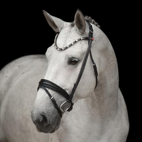 Kieffer Trensenzaum Elli - Schwarz Größe: Warmblut Farbe: schwarz/schwarz unterlegt Kieffer Trensenzaum Elli - Schwarz Größe: Warmblut Farbe: schwarz/schwarz unterlegt von EPONA