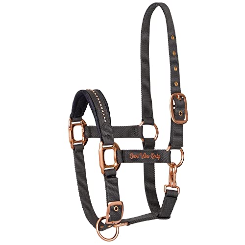 EQUESTRIAN QUEEN Amsterdam 23SS Halfter mit Kristallen und Goldbeschlägen (Full, Grau) von EQUESTRIAN QUEEN