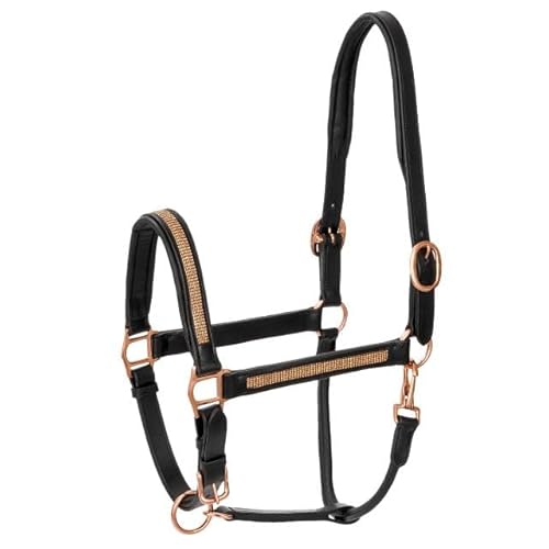 EQUESTRIAN QUEEN Halfter für Pferde SmallDiamonds Leder schwarz/Gold (Schwarz/Gold, Pony) von EQUESTRIAN QUEEN