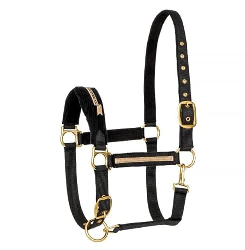 Pferde- und Ponyhalfter EQUESTRIAN QUEEN Turin 22AW Metallbeschläge (Pony, Schwarz) von EQUESTRIAN QUEEN