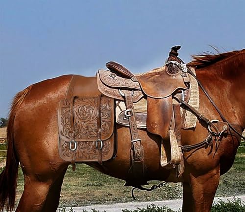 EQUIGEAR Western-Leder-Satteltasche für Pferde | Reitvergnügen Wanderritt geeignet für Reiten und Fassrennen | Satteltasche mit verstellbarem Riemen GRÖSSE: 10"X10"X3" SA-88 von EQUIGEAR