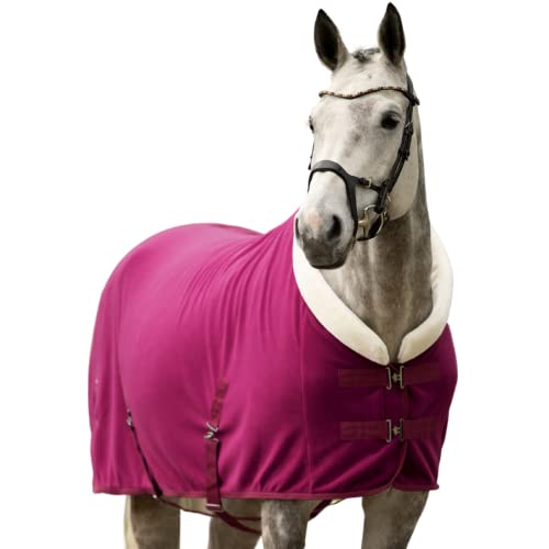 EQUILYX® Abschwitzdecke Pferd mit Teddy-Kragen und abnehmbaren Kreuzgurten [perfekte Passform] Fleecedecke Stalldecke Transportdecke wärmend feuchtigkeitsabsorbierend atmungsaktiv (Fuchsia, 155cm) von EQUILYX