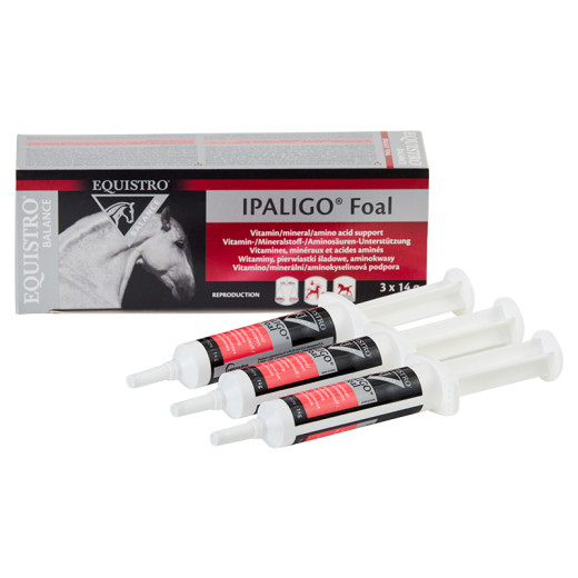 Equistro Ipaligo Foal 3 x 14 g Fohlenbooster von EQUISTRO®