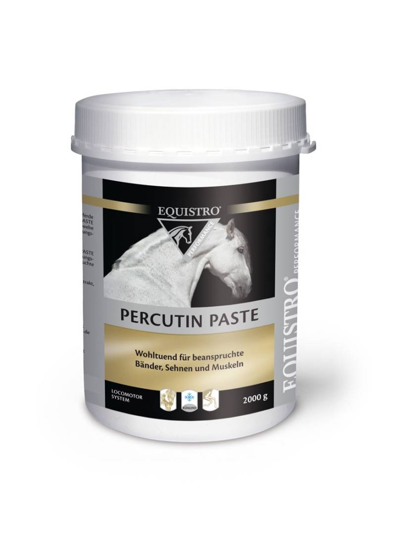 Equistro Percutin Paste 2 kg Für den Bewegungsapparat von EQUISTRO®