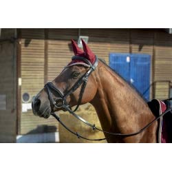 EQUITHEME Polyfun Mütze ? Farben ? leuchtendes Blau, Größe Pferde ? Pony von Equitheme