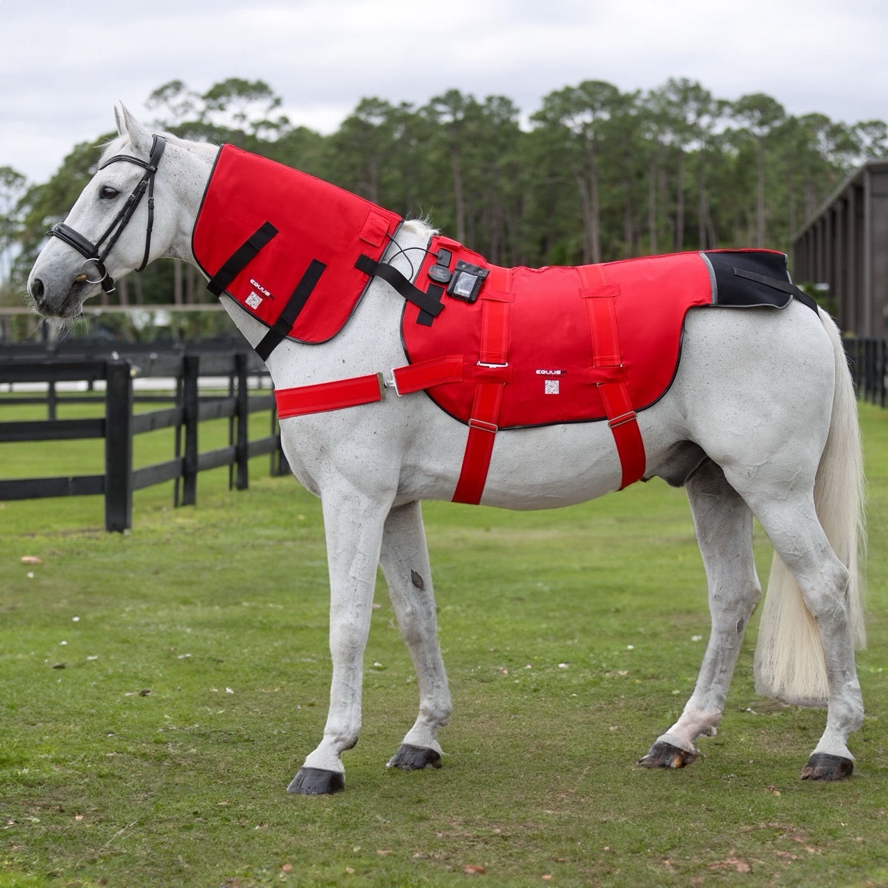Equusir Bios Decke Horse Magnetfelddecke (115cm) + Nackenapplikator + Steuergerät von EQUUSIR