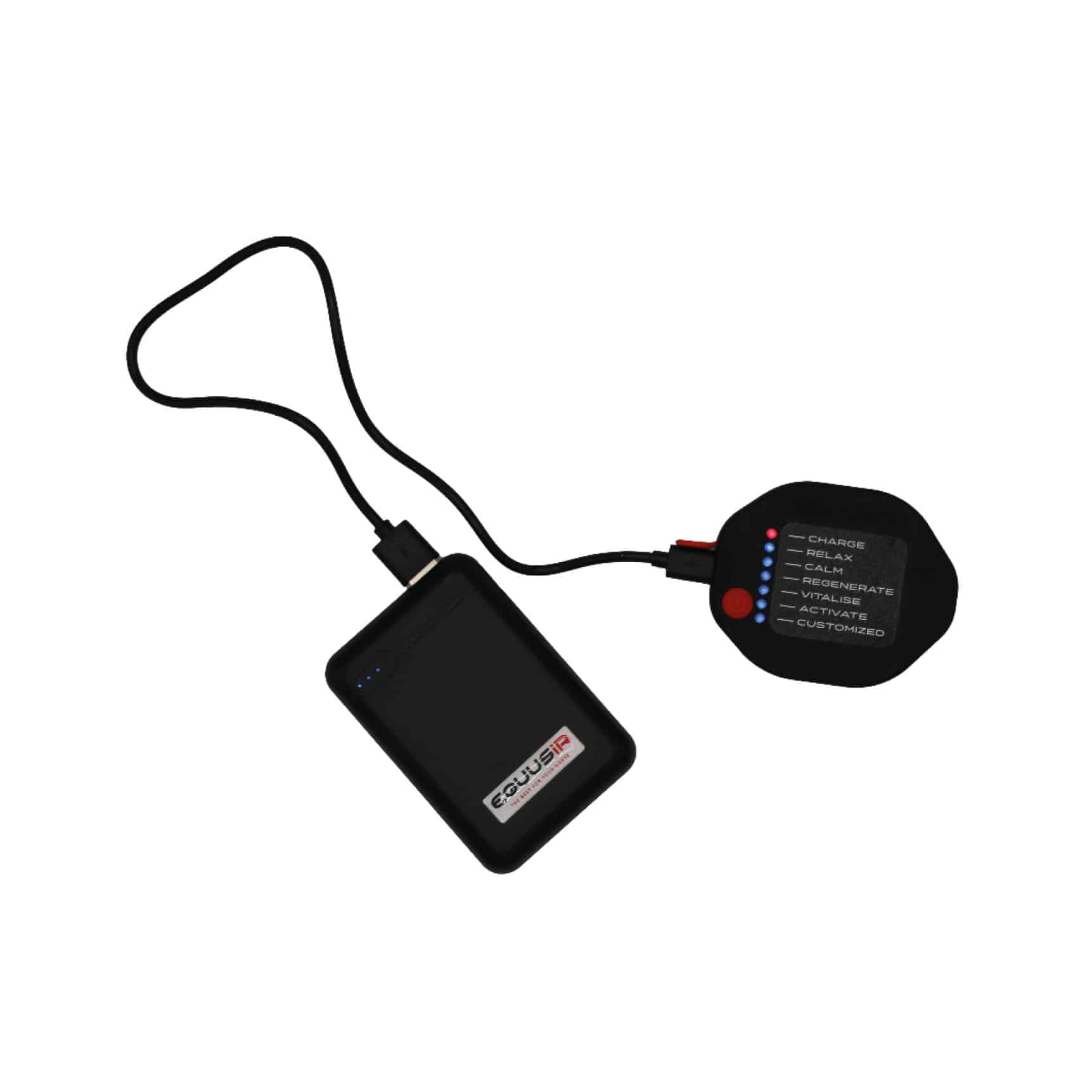 Equusir Bios Horse/Dog/Human Steuergerät Für Equusir Bios Stimulation System von EQUUSIR
