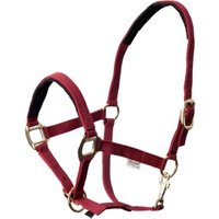 EQuest Halfter Dual Plus bordeaux VB/ COB (Vollblut) von EQuest