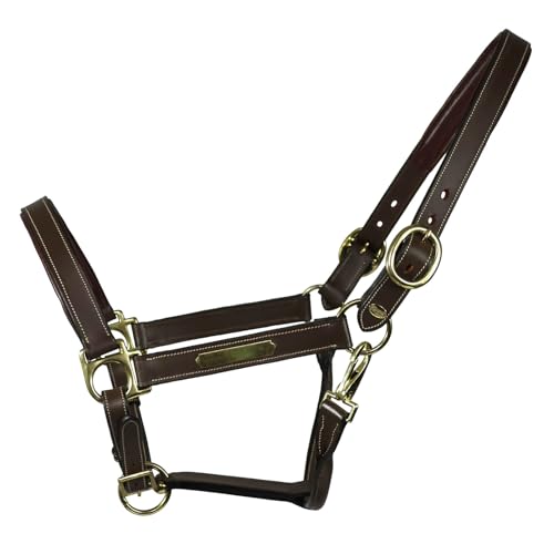 EQuest Lederhalfter Inscribe für Pferde, unterlegt - Mocha, S - Pony EQuest Lederhalfter Inscribe für Pferde, unterlegt - Mocha, S - Pony von EQuest