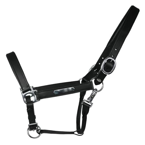 EQuest Lederhalfter Inscribe für Pferde, unterlegt - schwarz, L - Full/Warmblut EQuest Lederhalfter Inscribe für Pferde, unterlegt - schwarz, L - Full/Warmblut von EQuest