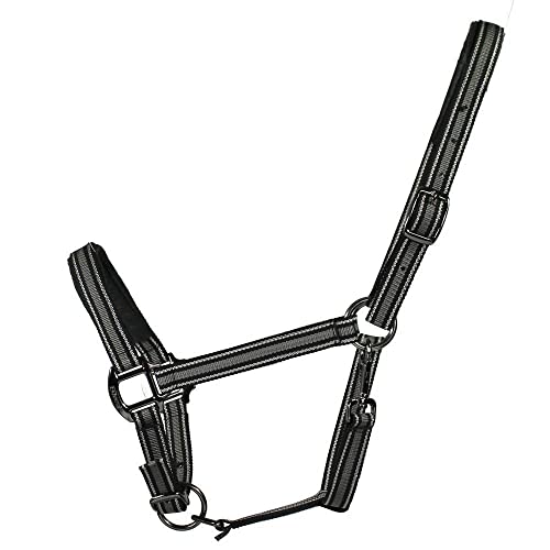 Halfter Dual Plus Excellent Plasma Black/antr.-metallic M von Equest