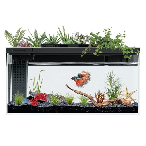 ERAARK Betta Aquarium, selbstreinigend, intelligentes Aquarium-Set, kleines Aquarium mit Filterlicht, Wasserpumpe, Aquarium-Starter-Kit, Fischglas von ERAARK