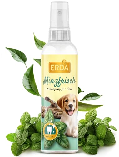 ERDA® Zahn Dentalspray für Hunde & Katzen - 1 x 150ml Natürliche Zahnpflege gegen Zahnstein & Maulgeruch - Effektive Zahnreinigung ohne Zähneputzen mit Grüntee & Pfefferminz - 833 Sprühstöße von ERDA