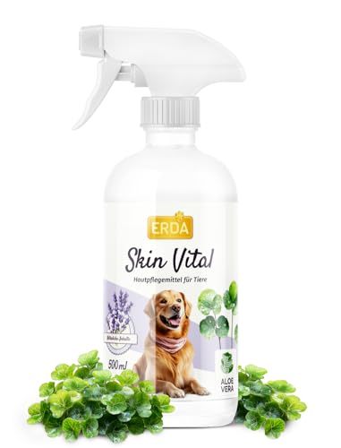 ERDA Juckreiz-Spray für Hunde & Pferde – 500ml Intensiv-Hautpflege mit Lebermoos, Aloe Vera & Lavendel – Beruhigt gereizte Haut, unterstützt Regeneration & beugt Hautirritationen vor ERDA Juckreiz-Spray für Hunde & Pferde – 500ml Intensiv-Hautpflege mit Lebermoos, Aloe Vera & Lavendel – Beruhigt gereizte Haut, unterstützt Regeneration & beugt Hautirritationen vor von ERDA