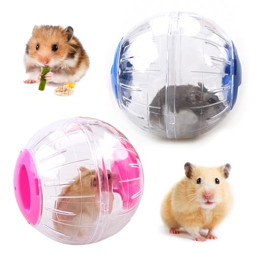2 Stück Hamster Laufball, Transparent Hamster Übung Ball, Hamster Gymnastikball, Kunststoff Spielzeug, Hamster Spielzeug Laufkugel, für Junge Wüstenrennmäuse, Hamster und Andere Kleintiere (12CM) von ERFGT
